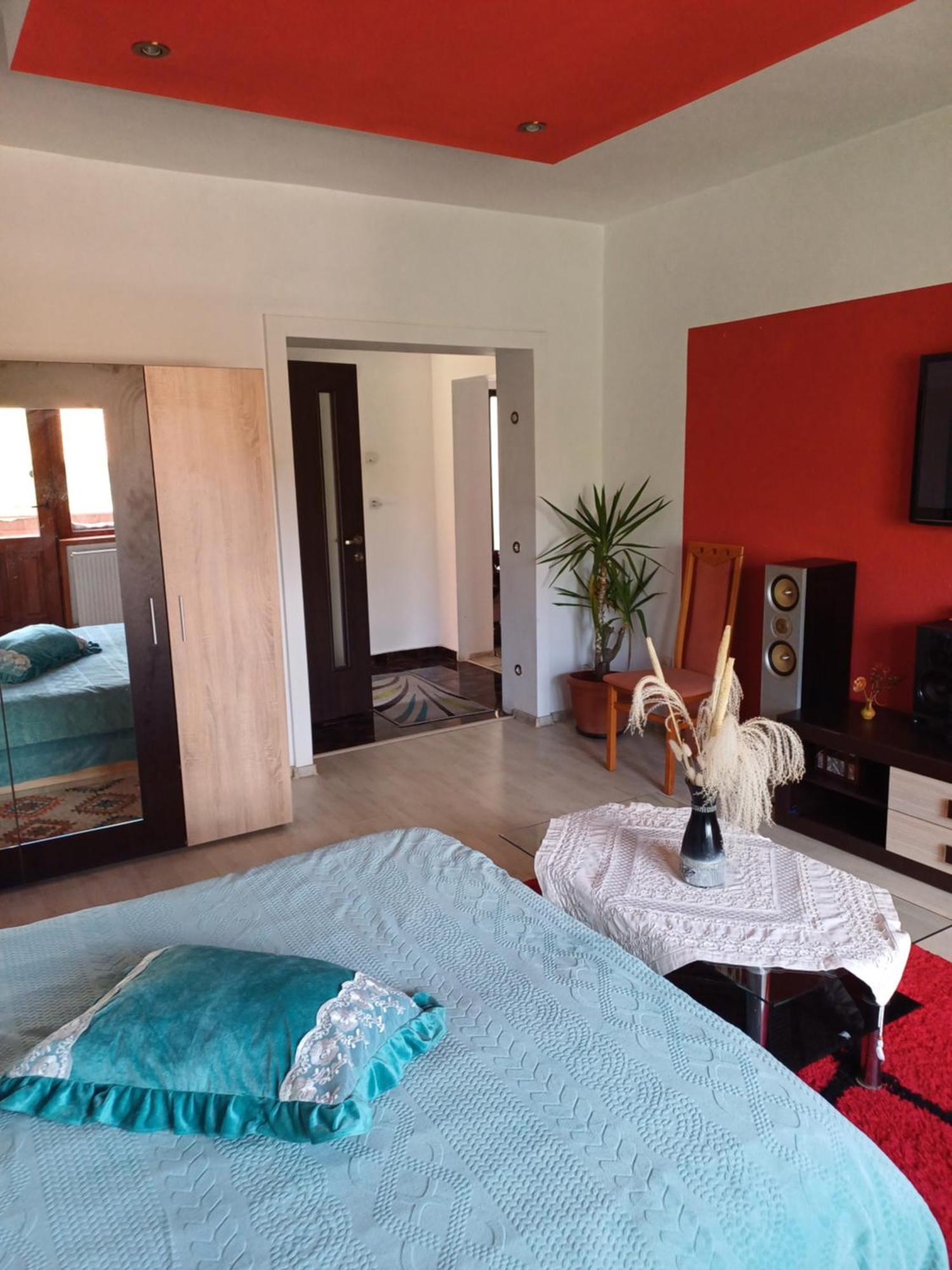 Apartament Cu Terasa La Casa Valentin Timișoara Zewnętrze zdjęcie
