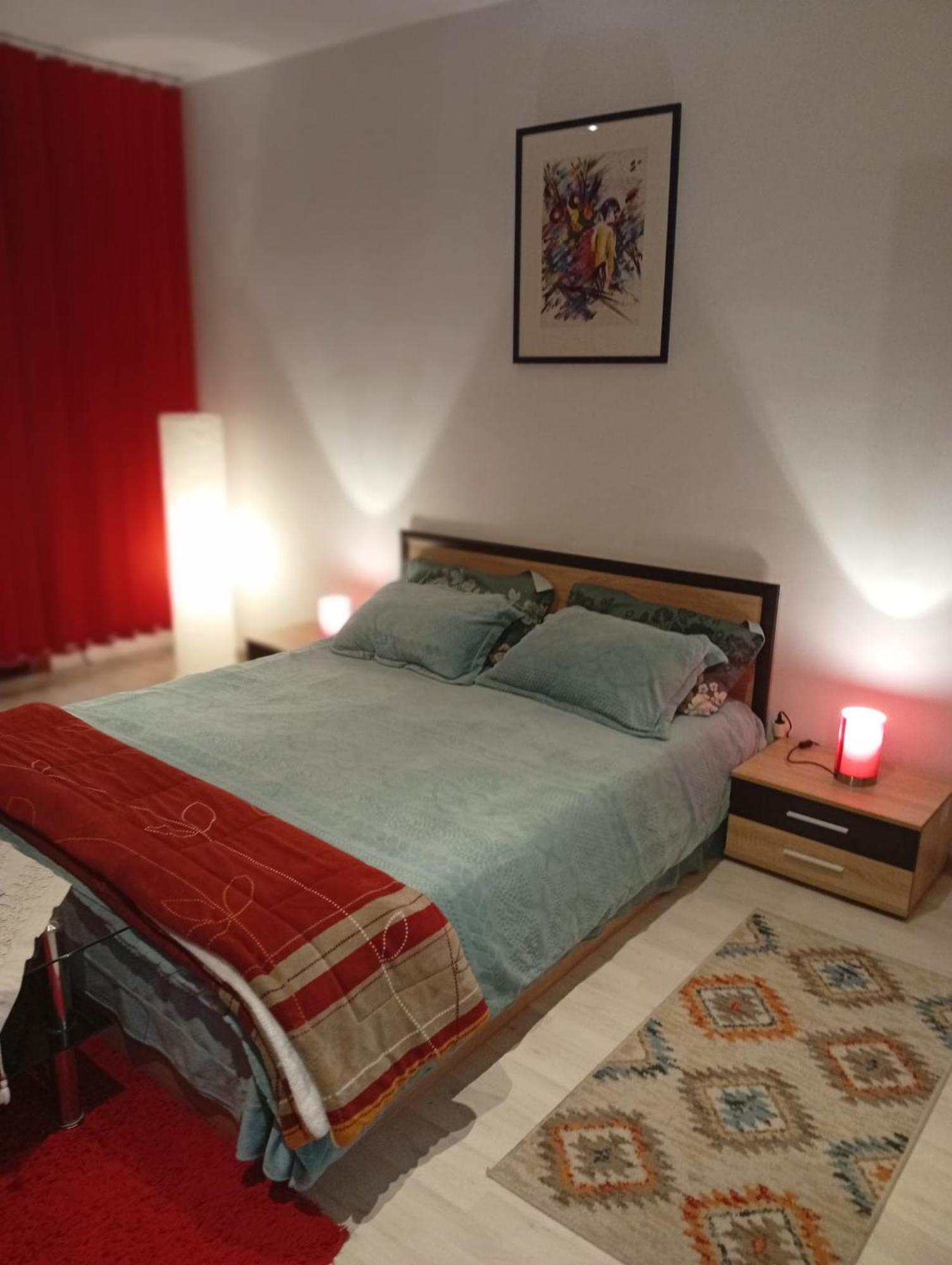 Apartament Cu Terasa La Casa Valentin Timișoara Zewnętrze zdjęcie